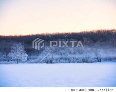 Storm Storm 73331186