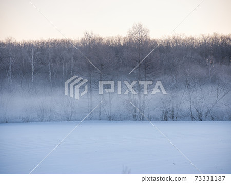 Storm Storm 73331187