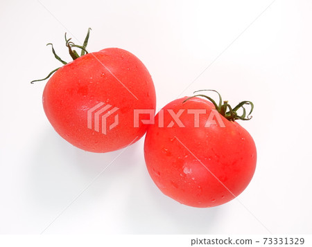 Tomato Tomato 73331329