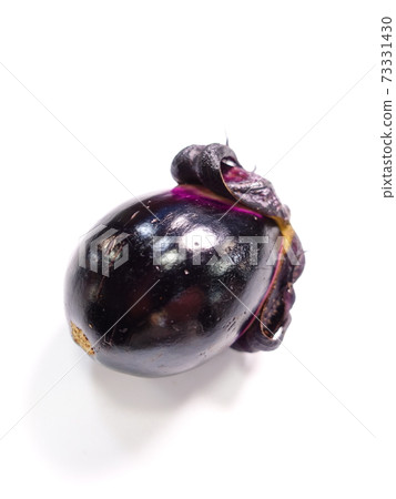 Eggplant eggplant 73331430