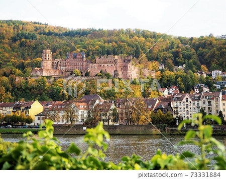 Heidelberg Castle and Left Bank District 73331884