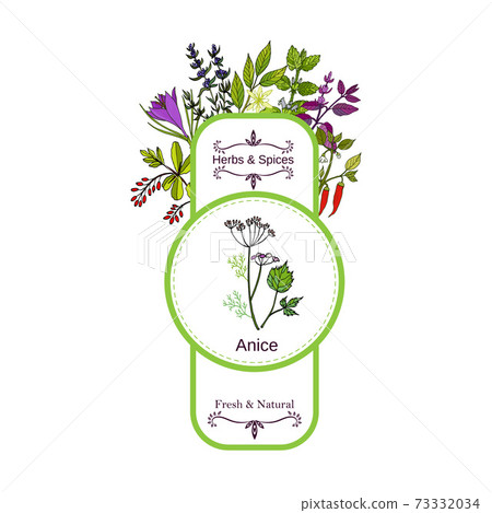Vintage herbs and spices label collection. Anise 73332034