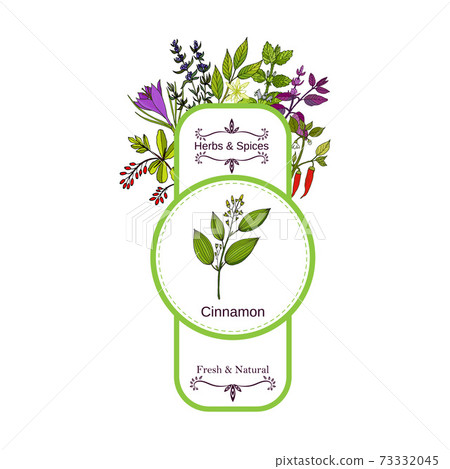 Vintage herbs and spices label collection. Cinnamon 73332045