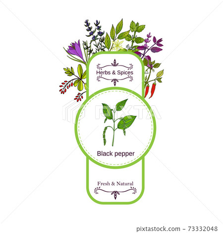 Vintage herbs and spices label collection. Black pepper 73332048