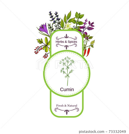 Vintage herbs and spices label collection. Cumin 73332049