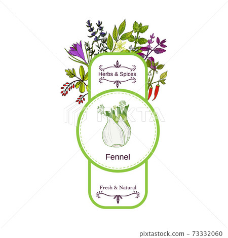 Vintage herbs and spices label collection. Fennel 73332060