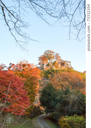 在夕陽下的秋天樹苗城堡 73332204