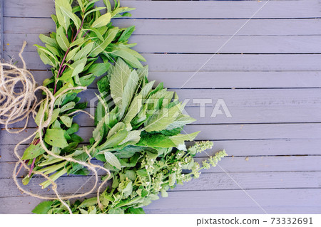 healing herbs grown in a garden. healing herbs grown in a garden. 73332691