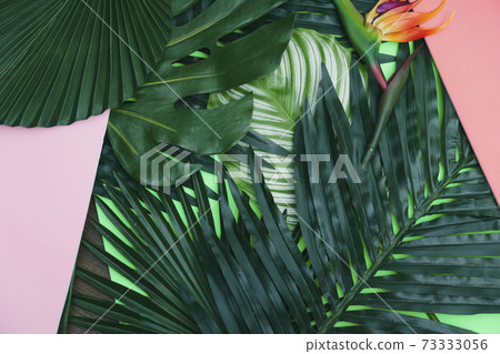 植物葉子 73333056