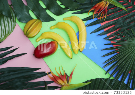 植物葉子 73333125