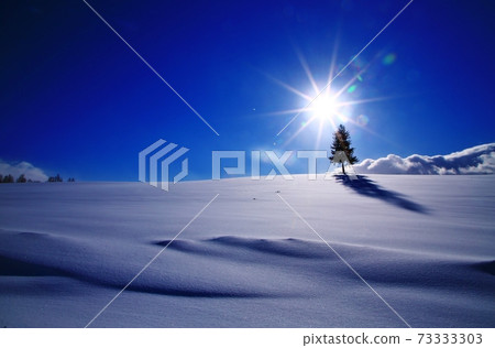 Earth of the tree Earth of the tree 73333303