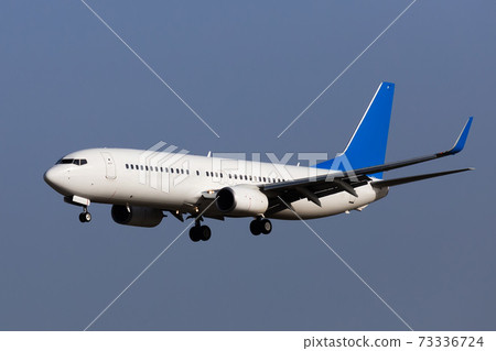 Private passenger jet lands at Airport at sunny day Private passenger jet lands at Airport at sunny day 73336724
