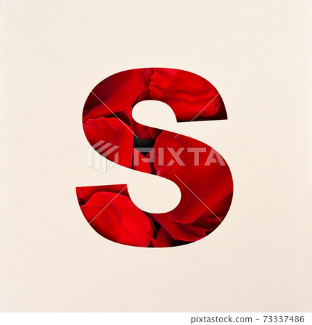 Font design, Abstract alphabet font with Rose petals, realistic typography - S Font design, Abstract alphabet font with Rose petals, realistic typography - S 73337486