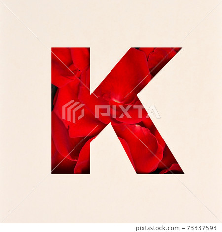 Font design, Abstract alphabet font with Rose petals, realistic typography - K 73337593