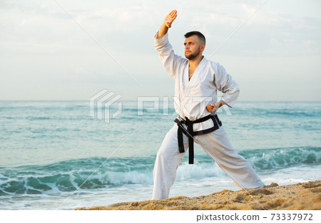 Man doing karate poses 73337972