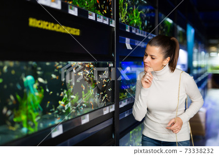 Brunette choosing aquarium fish in pet store Brunette choosing aquarium fish in pet store 73338232