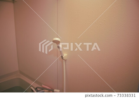 淋浴房淋浴頭 淋浴房淋浴頭 73338331