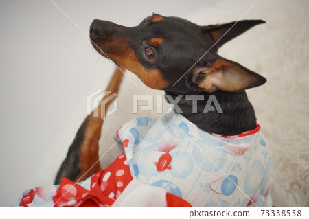 微型平夏夏季浴衣日式服裝照片183 微型平夏夏季浴衣日式服裝照片183 73338558