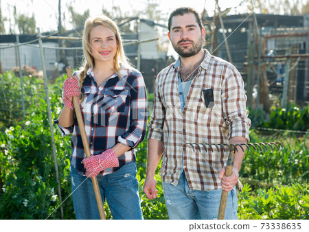 Man and woman weed the beds of weeds with a rake Man and woman weed the beds of weeds with a rake 73338635