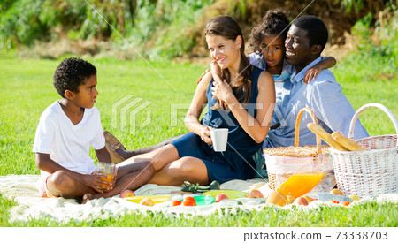 Family enjoying picnic Family enjoying picnic 73338703