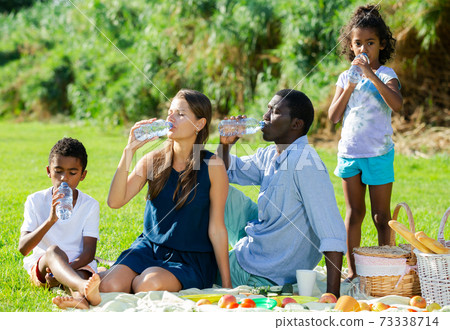 Family drinking water on picnic 73338714