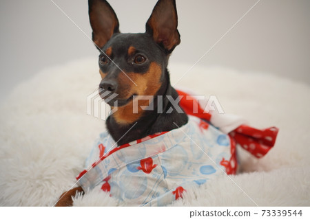 微型平徹夏天浴衣日式照片231 73339544