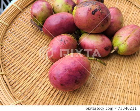 Umbe Mukoko Akebi家族 Umbe Mukoko Akebi家族 73340211