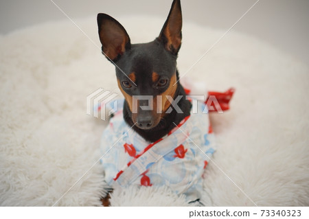 微型平徹夏天浴衣日式照片269 73340323