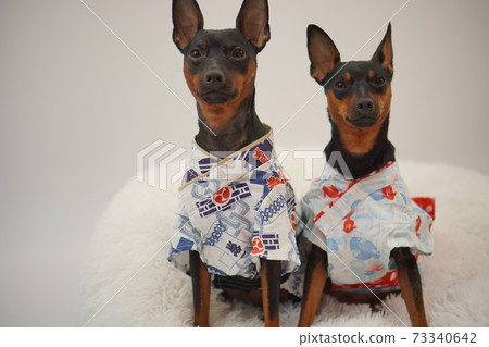 微型平夏夏季浴衣日式服裝寫真281 微型平夏夏季浴衣日式服裝寫真281 73340642