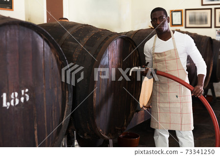 male winegrower working in wine-vault male winegrower working in wine-vault 73341250