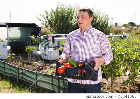 Portrait of farmer in a garden with ripe vegetables harvest Portrait of farmer in a garden with ripe vegetables harvest 73341563