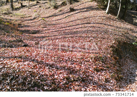 冬季形象 73341714