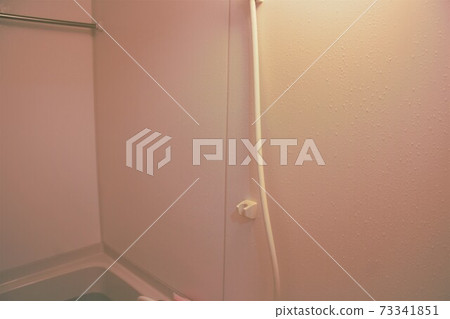 Shower hose in the bathroom Shower hose in the bathroom 73341851