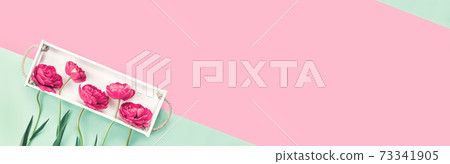 Pink tulips in white box on pink and green Pink tulips in white box on pink and green 73341905