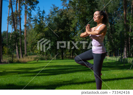 Beautiful woman doing asana outdoor - Yoga Balance Vriksha-Asana The Tree Pose 73342416