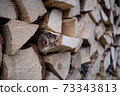 Woodpile with fireplace wood stacked 73343813