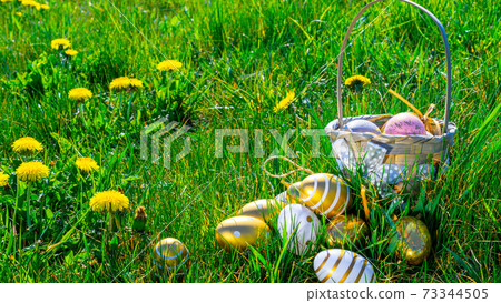 Easter basket. Golden egg with yellow spring flowers in celebration basket on green grass background. Congratulatory easter design. 73344505
