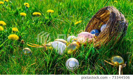 Easter background. Golden egg with yellow spring flowers in celebration basket on green grass. Easter hunt concept. 73344506
