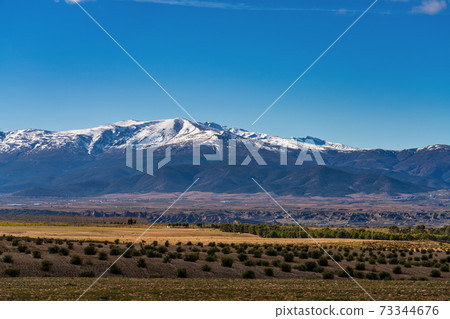 View of Guadix in the Sierra Nevada, province of Granada, Andalusia, Spain. View of Guadix in the Sierra Nevada, province of Granada, Andalusia, Spain. 73344676