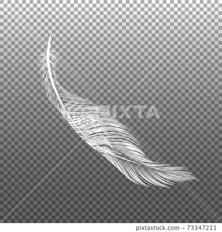 Falling Feathers Vector 73347211 PIXTA   73347211 