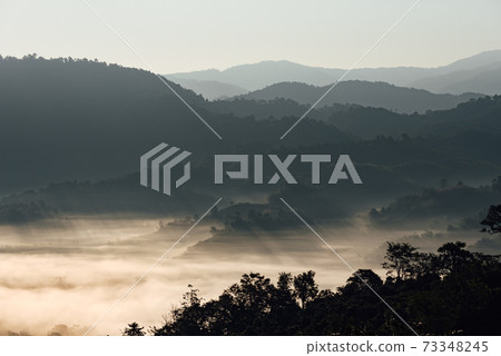 The scenery of Phu Langka in the morning sunrise at Phayao province, Thailand. 73348245