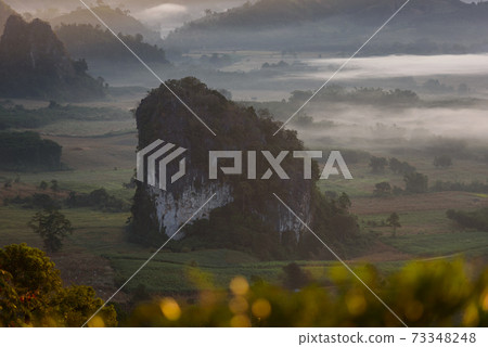The scenery of Phu Langka in the morning sunrise at Phayao province, Thailand. 73348248