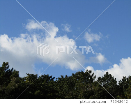 January blue sky and white clouds January blue sky and white clouds 73348642