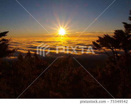 Sunrise hemlock sea of clouds on the east side of Taidong on the Wuling Line Sunrise hemlock sea of clouds on the east side of Taidong on the Wuling Line 73349542