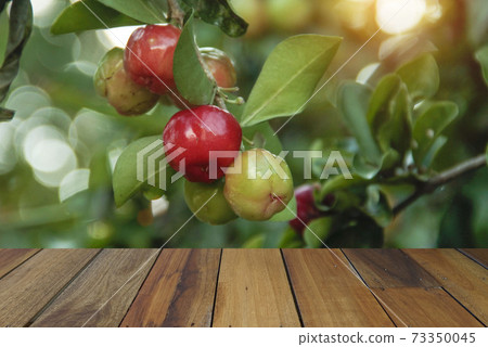 Wooden table on Acerola cherry and leaves background. Mock up for your product display or montage Wooden table on Acerola cherry and leaves background. Mock up for your product display or montage 73350045