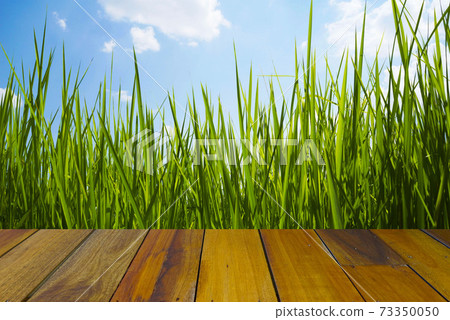 Empty wooden table on nature grass flower background. Mock up for your product display or montage Empty wooden table on nature grass flower background. Mock up for your product display or montage 73350050