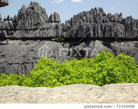 Madagascar Bemaraha National Park Great Tsingy Rocks and Trees 73350498