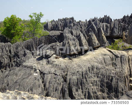 View of Madagascar Bemaraha National Park Great Tsingy View of Madagascar Bemaraha National Park Great Tsingy 73350503