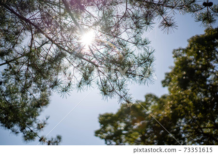 Sunbeams Orb flare Sunbeams Orb flare 73351615