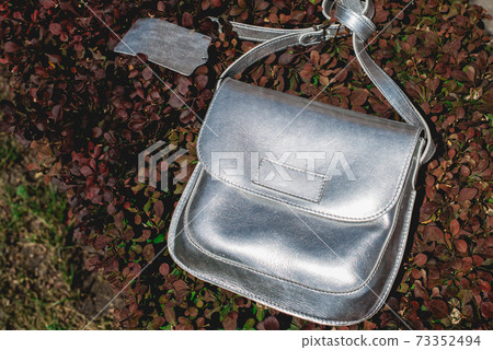 Festive evening small silver bag. Luxury accessories and party concept. Festive evening small silver bag. Luxury accessories and party concept. 73352494